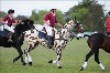 UKPA NC SAT_2753